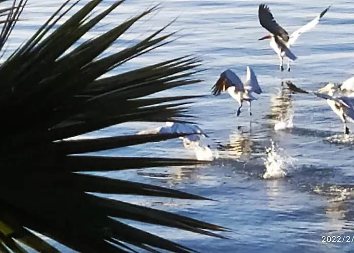 Felicity Seafront Luxury House Villa Néa Ankhíalos