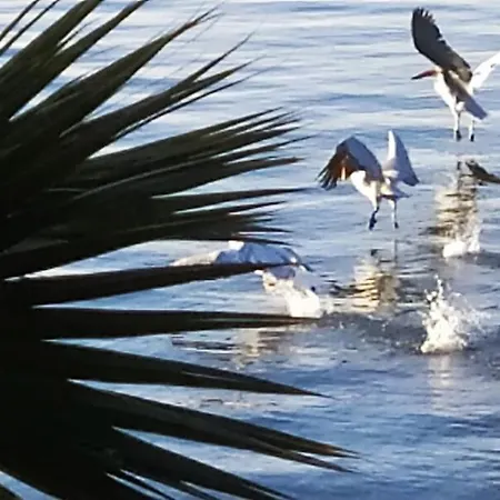 Felicity Seafront Luxury House Vilă Néa Ankhíalos