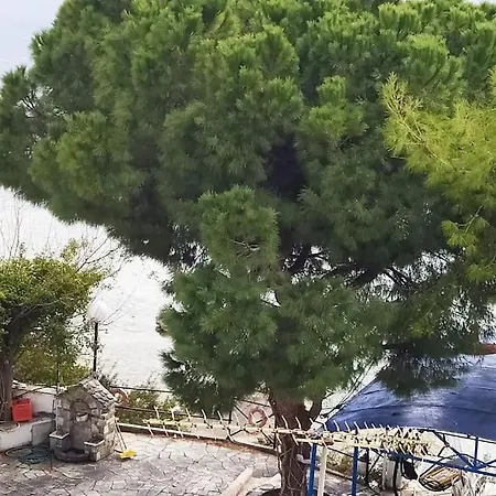 Felicity Seafront Luxury House Vilă Néa Ankhíalos